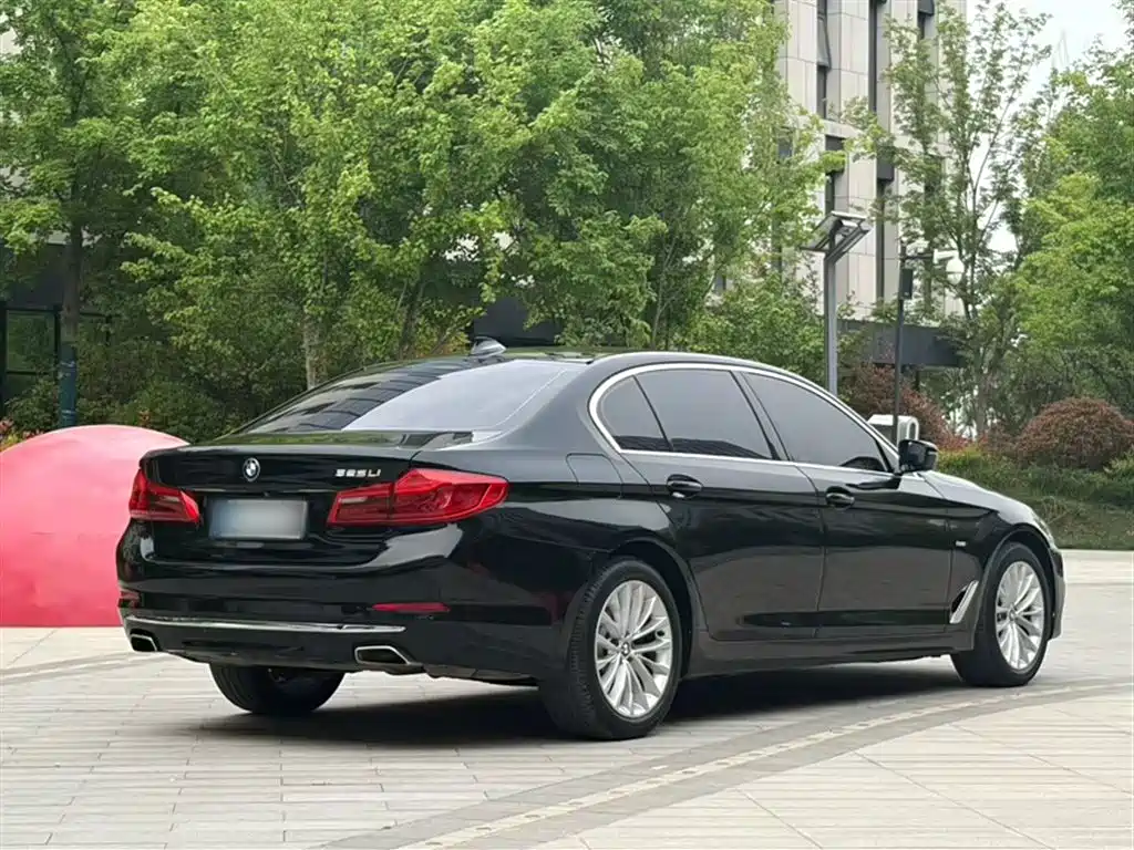 BMW 5 Series 2018 525Li Luxury Package фото 7