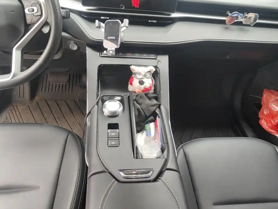 صورة 16 - Haval H6