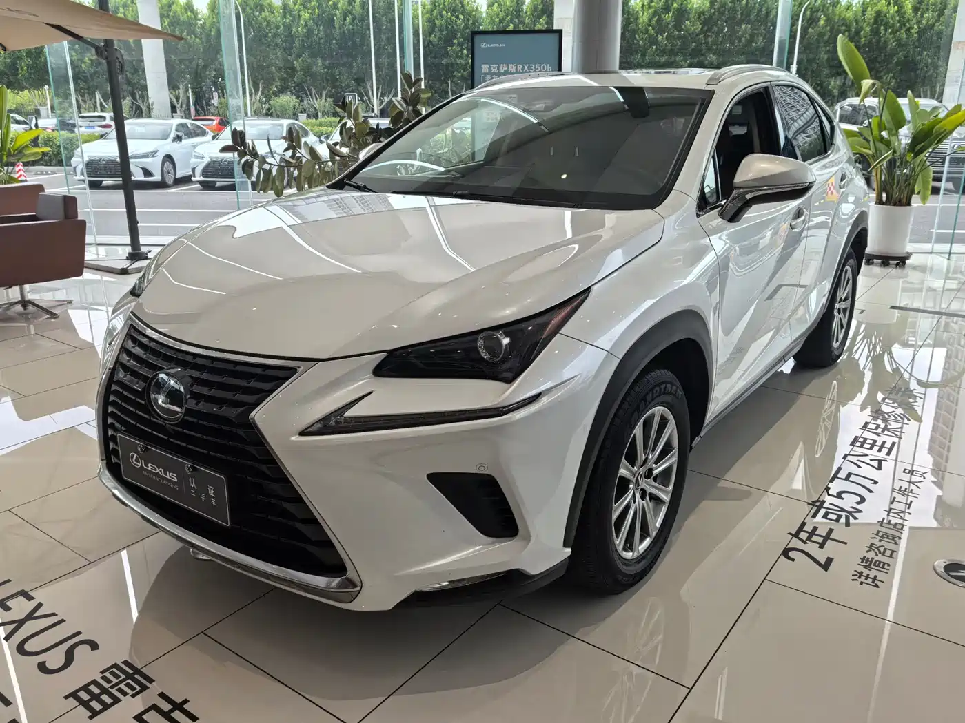 Фото 1 - Lexus NX