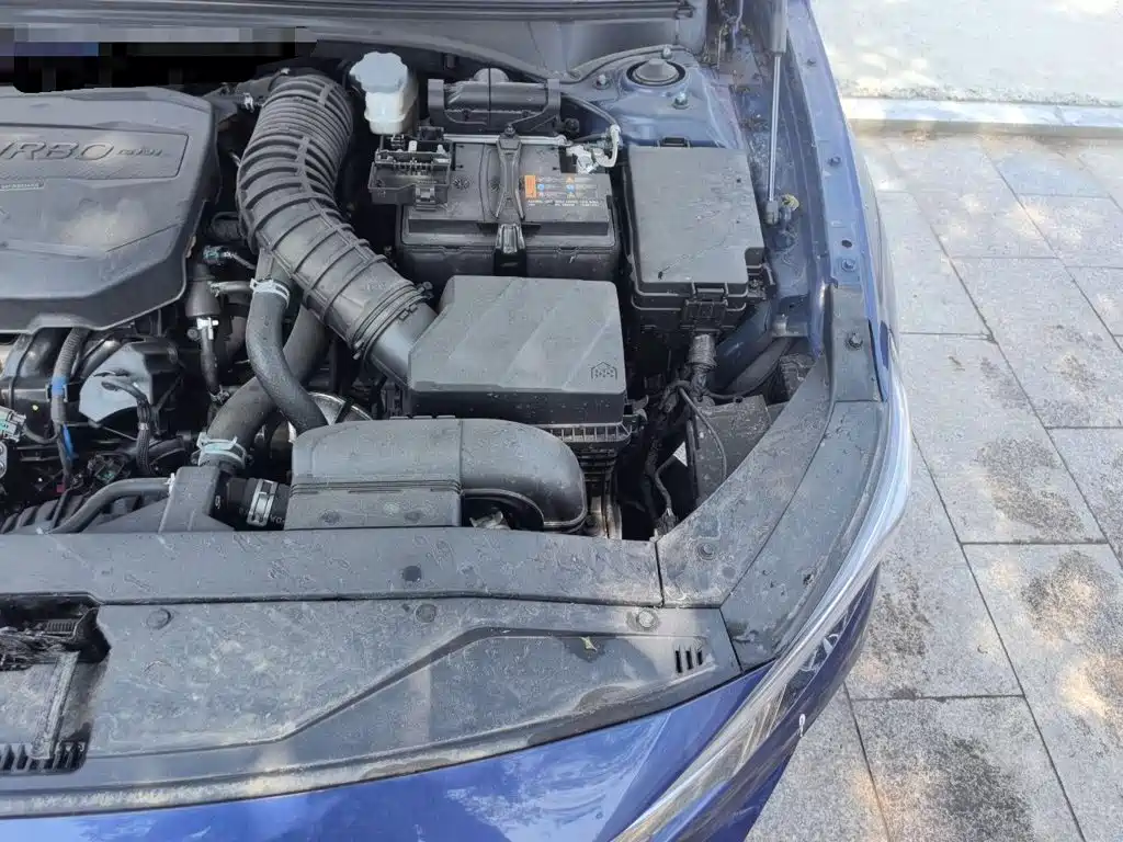 Photo 22 - Hyundai Lafesta
