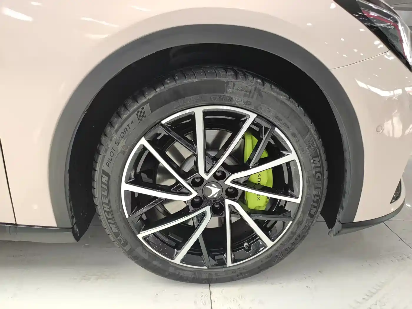 ARCFOX EXTREME FOX POLAR FOX ALPHA S5