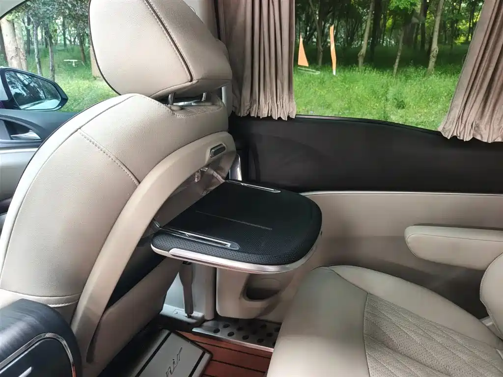 Buick GL8 2021 Land Business Class 652T Luxury фото 15
