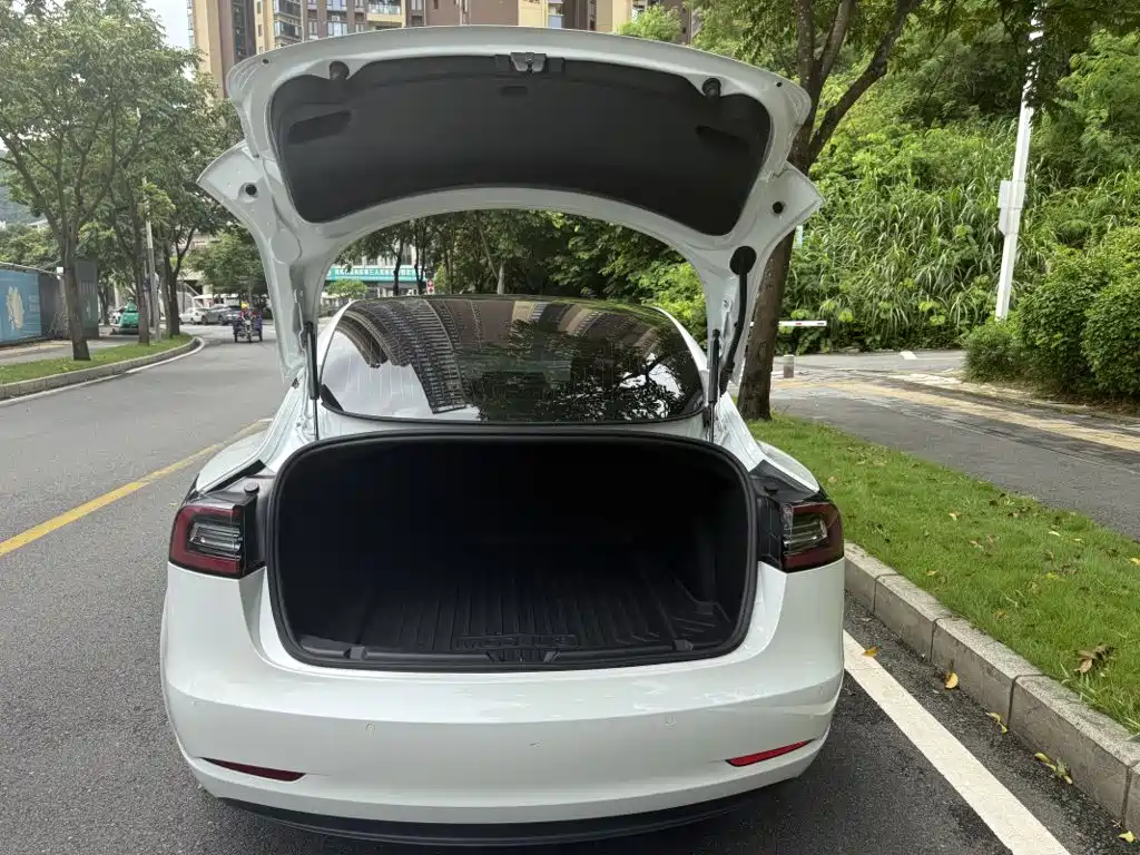 Tesla Model 3 2020 2020 Standard Range Rear-Wheel Drive Upgrade