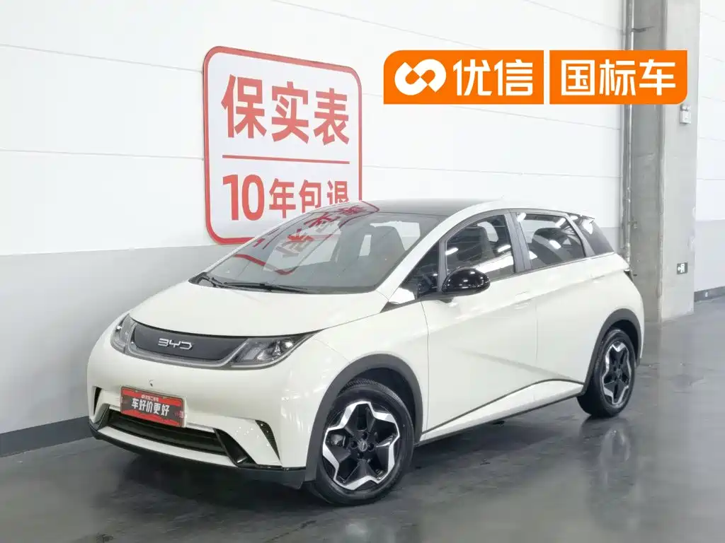 BYD Dolphin 2021 Model 405km Fashion Edition