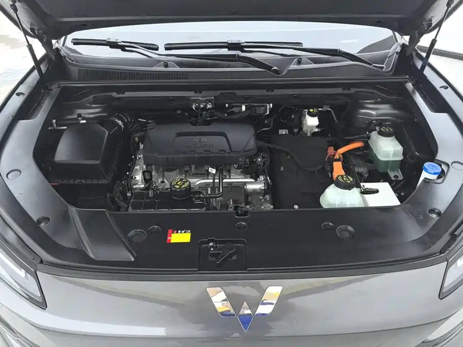 صورة 9 - Wuling Motors Wuling Xingguang S