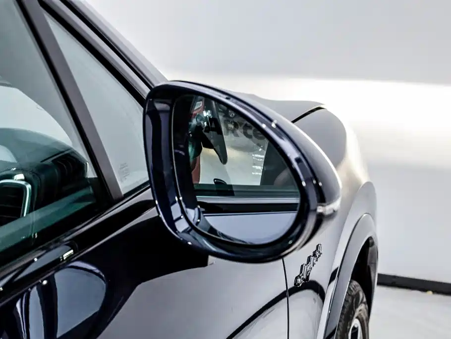 Photo 28 - Porsche Cayenne New Energy