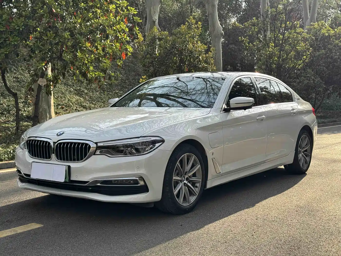 BMW 5 SERIES NEW ENERGY