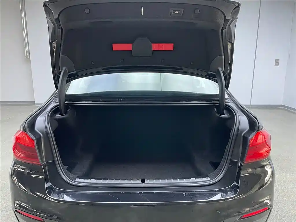 BMW 5 Series 2019 Facelift 525Li M Sport Package фото 30