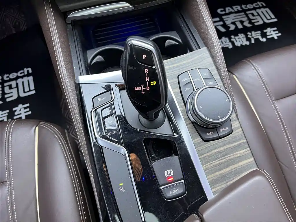 BMW 5 Series 2018 530Li Leading Luxury Package фото 21