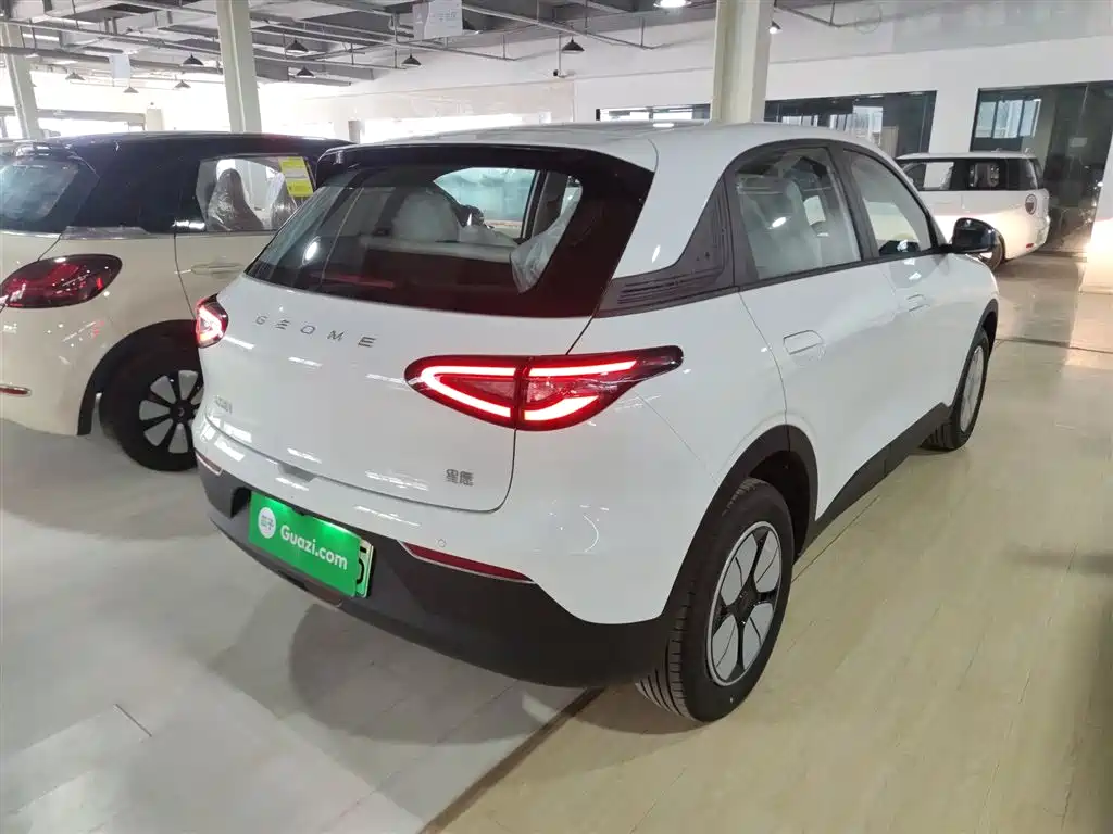 Geely Galaxy Starry Wish 2026 2026 Edition 310km Youth Version