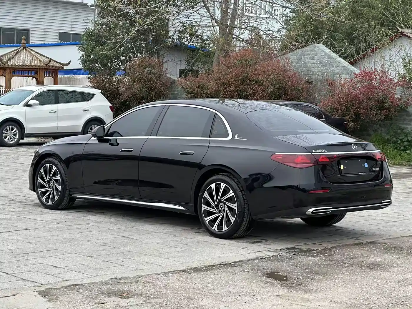 Mercedes-Benz E-Class 2025 E 300 L Luxury фото 5