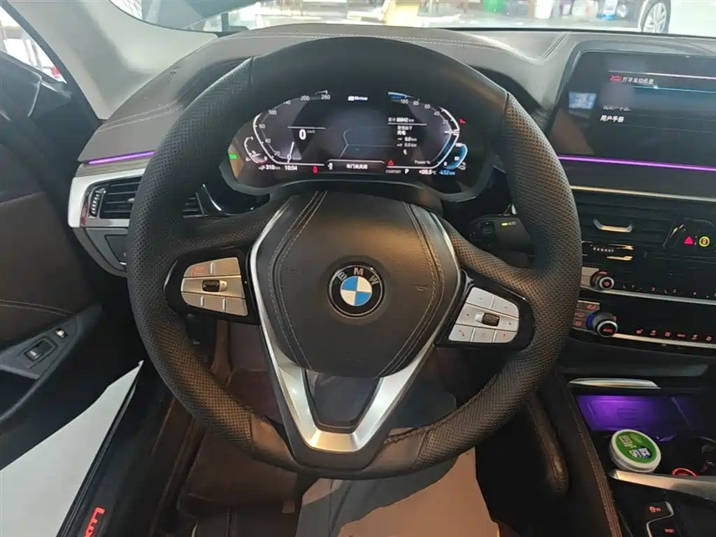 BMW 5 Series New Energy 2020 530Le Range Upgrade Luxury Package фото 11
