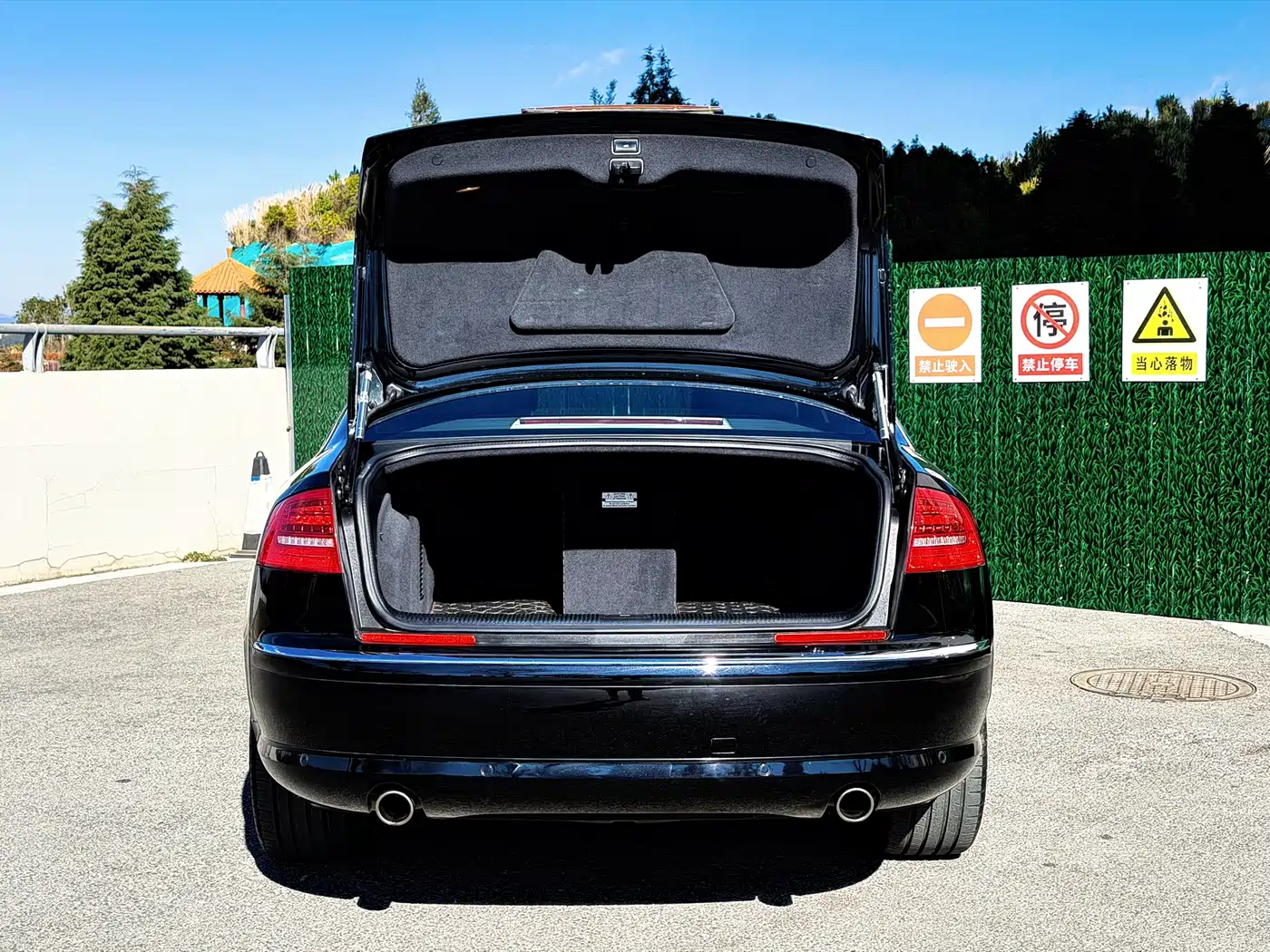 Audi A8 2008 A8L 4.2 FSI Prestige фото 13