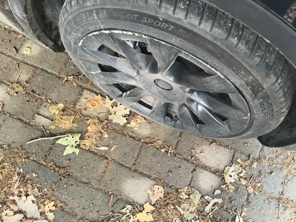 Фото 8 - Tesla Model Y