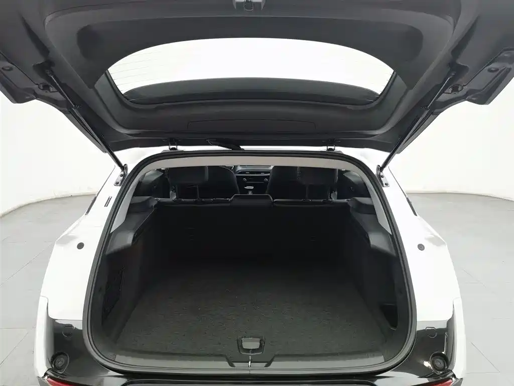 BUICK SLIGHTLY BLUE 6