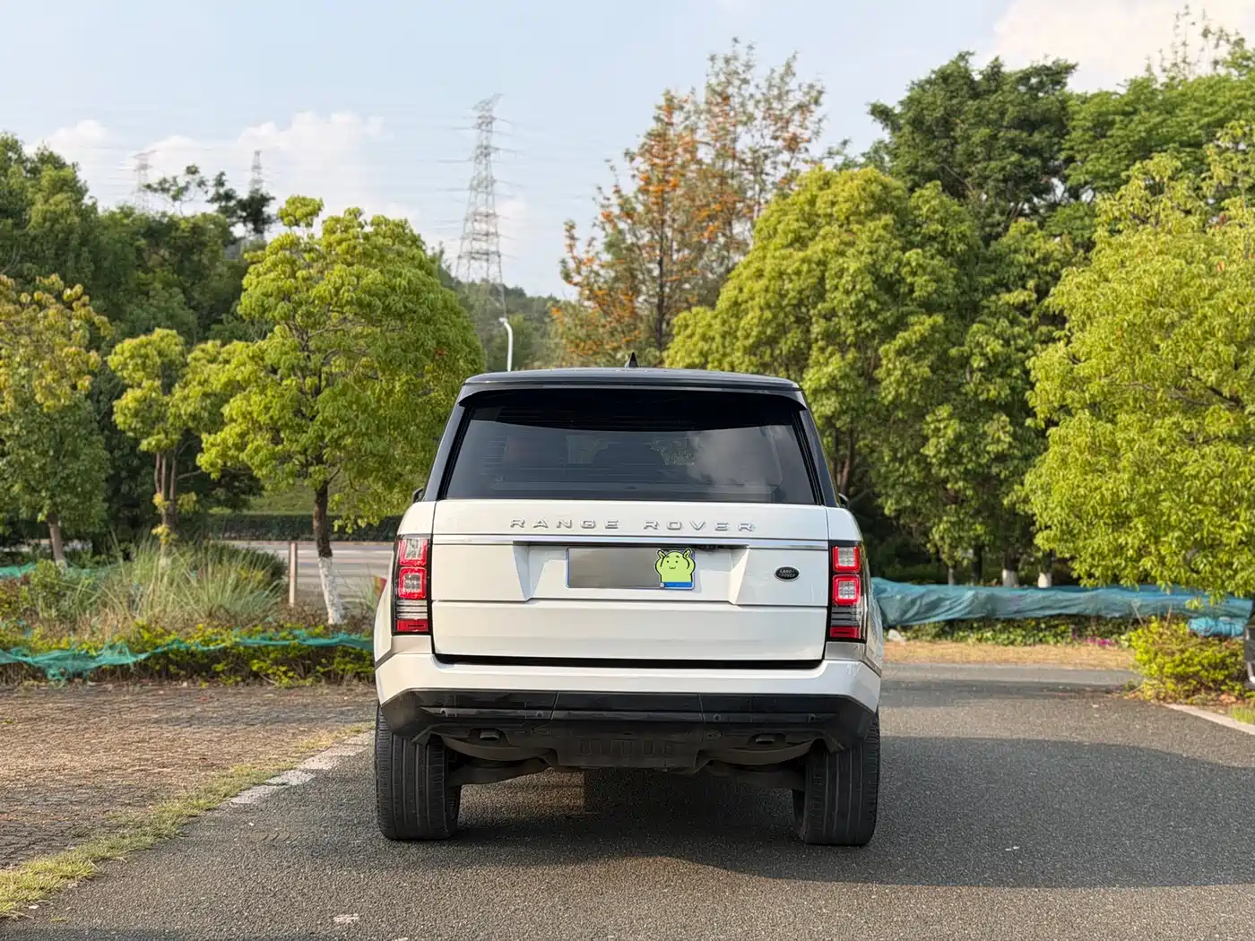 Land Rover Range Rover 2015 3.0 TDV6 Vogue фото 3