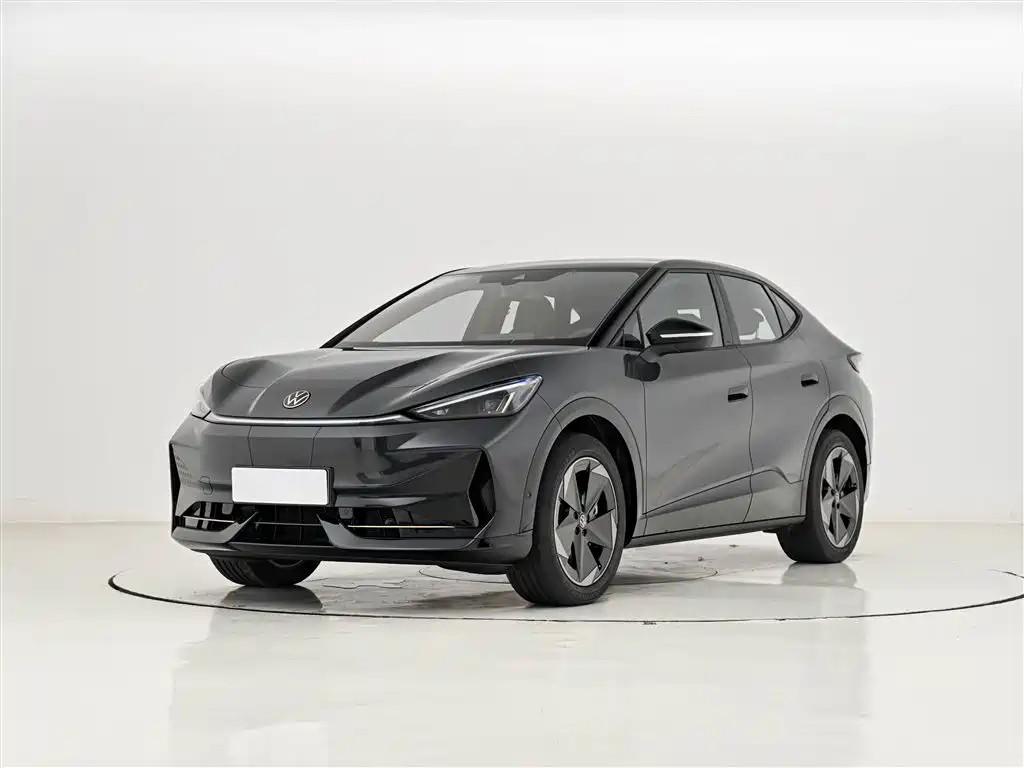 VOLKSWAGEN WITH THE CROWD 06