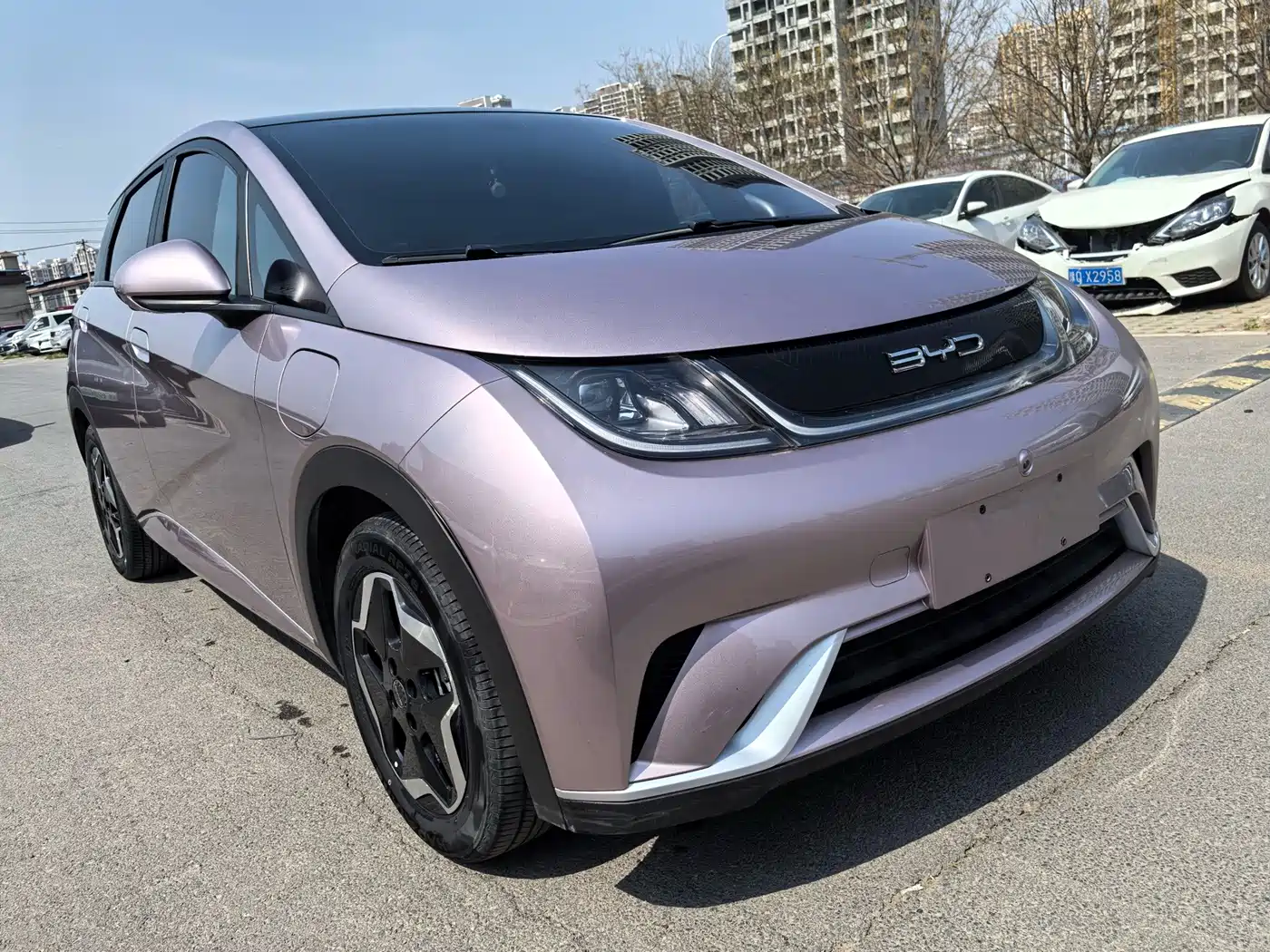 BYD Dolphin 2022 2021 Model 405km Fashion Edition