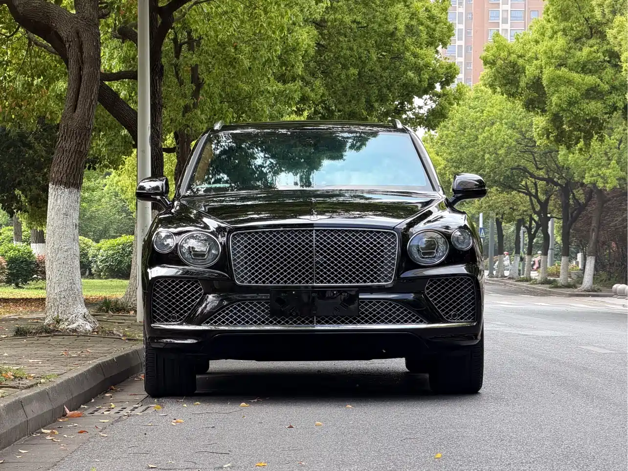 BENTLEY TIM YUE