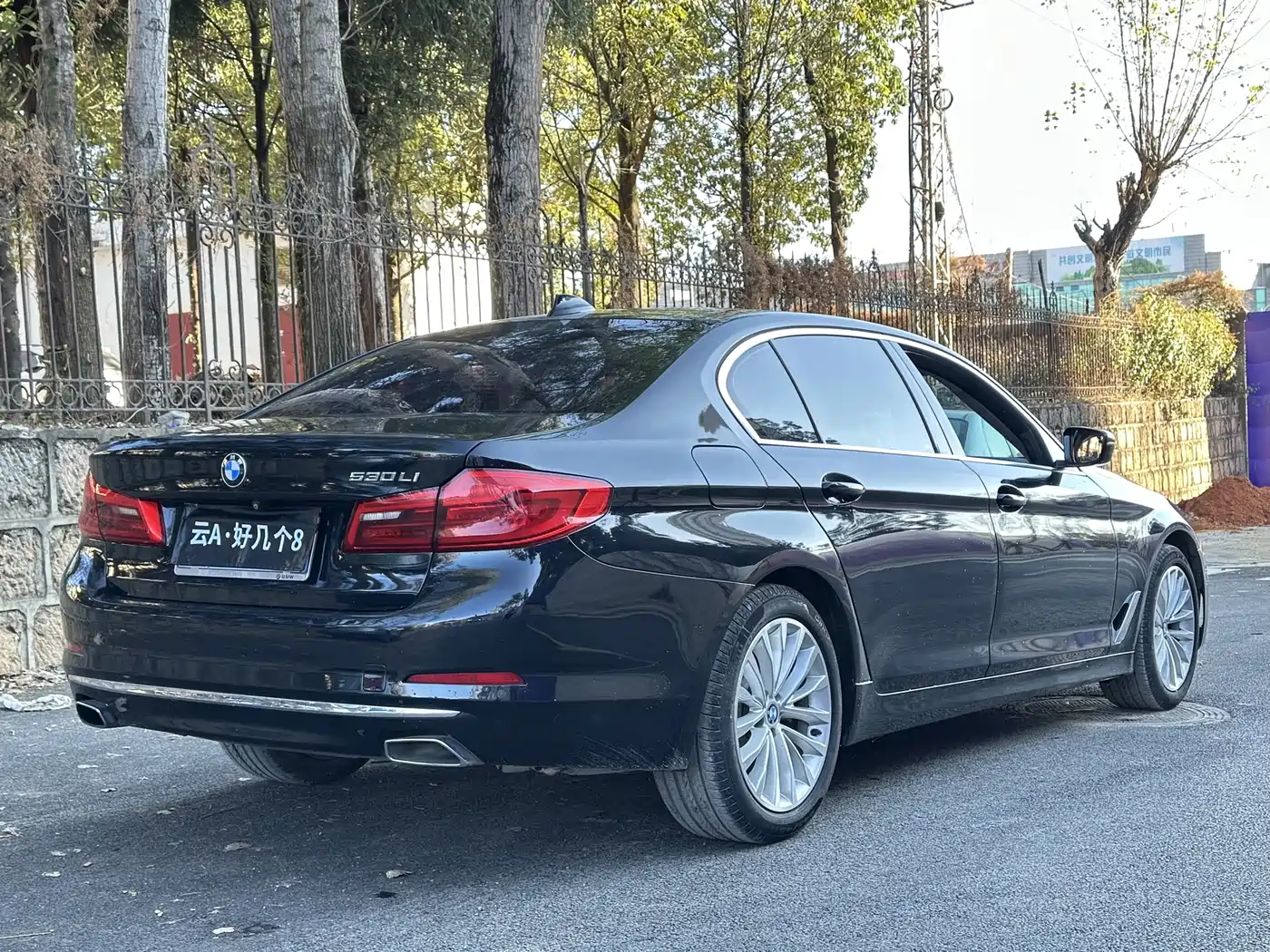 BMW 5 Series 2019 530Li Leading Luxury Package фото 10
