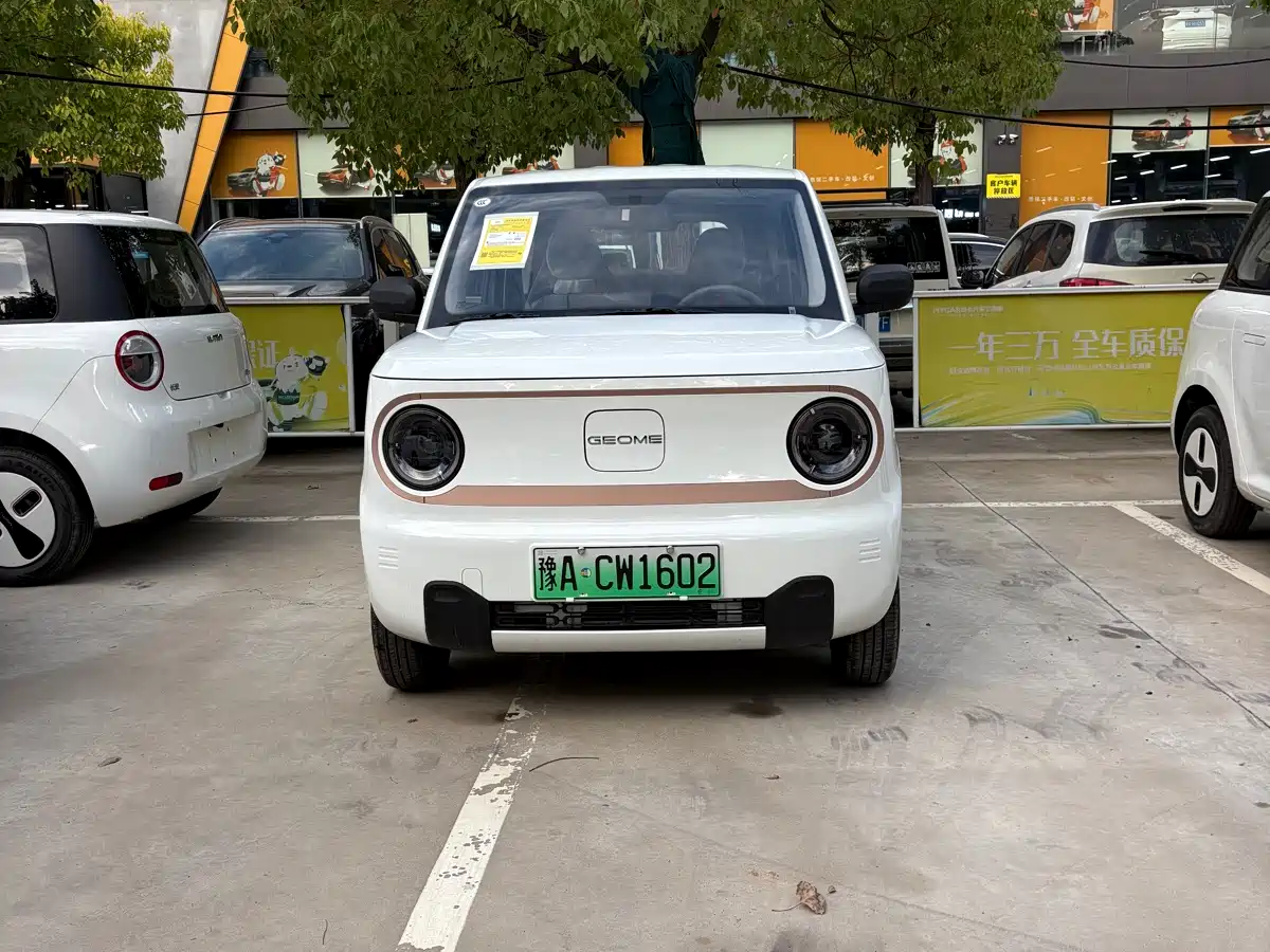 Geely Galaxy Panda 2026 2024 Panda mini 200km Endurance Bear