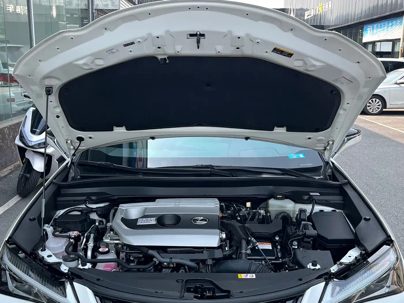 Lexus UX 2021 2020 260h Explore Fun Edition China V