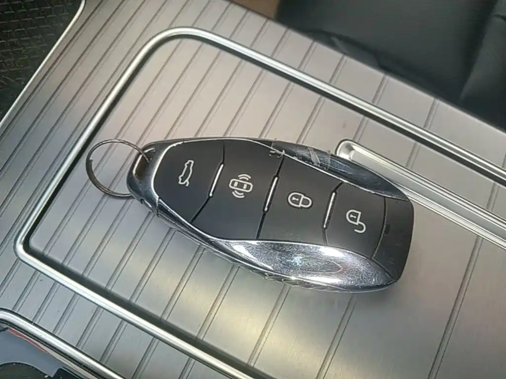 Photo 9 - Hongqi HS7 PHEV