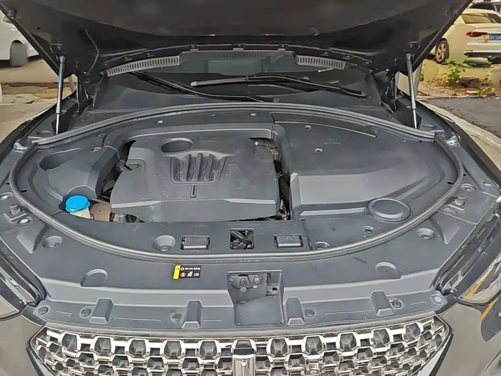 WEY VV7 2021 2020 Model 2.0T Flagship
