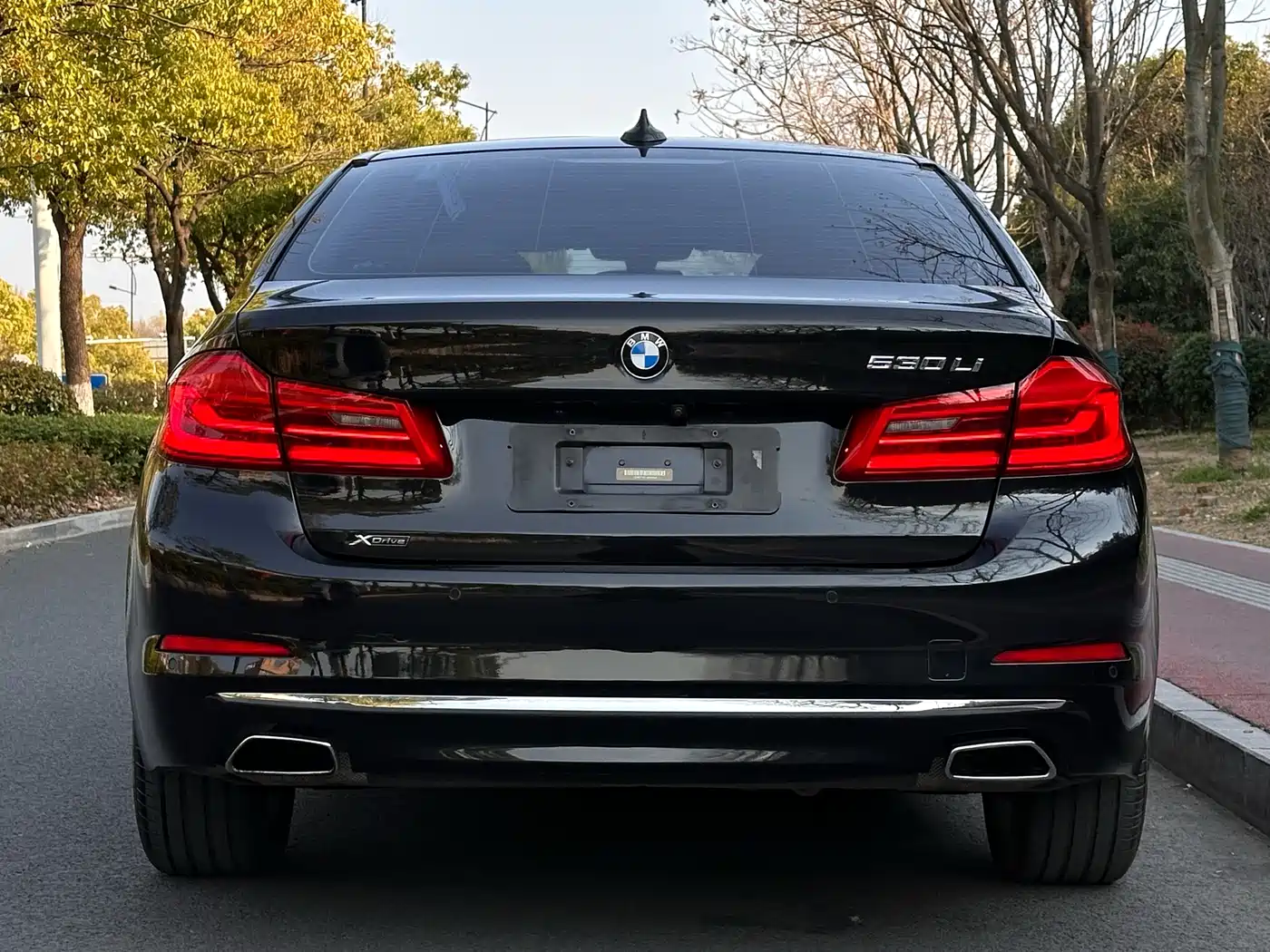 BMW 5 Series 2018 530Li xDrive Luxury Package фото 4