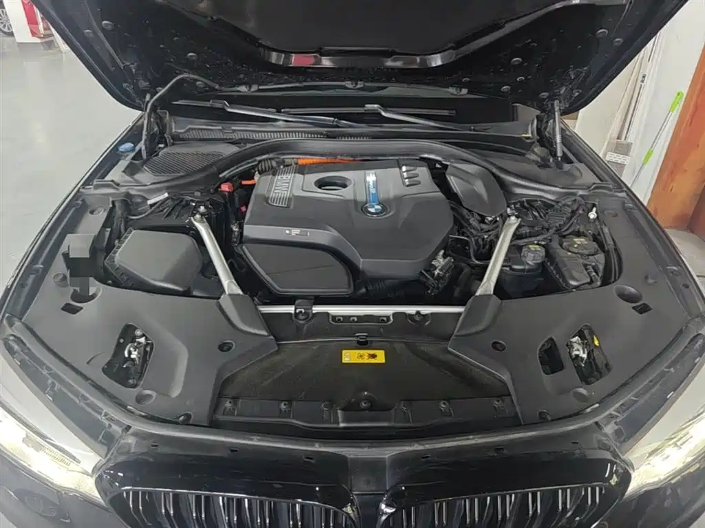 BMW 5 Series New Energy 2020 530Le Range Upgrade Luxury Package фото 20