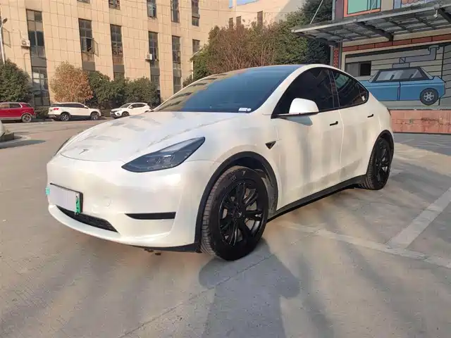 Tesla Model Y 2022 Rear-Wheel Drive Version