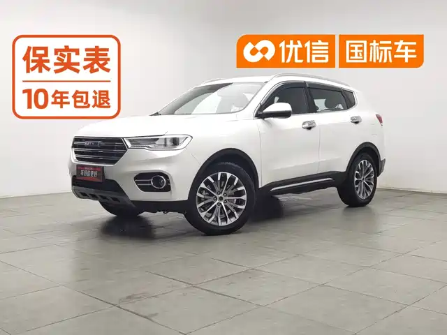 Haval H6 2017 Blue Label 1.3T Automatic 2WD Trend — фото 1
