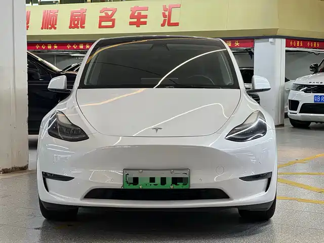 Tesla Model Y 2021 Standard Range Rear-Wheel Drive — фото 1