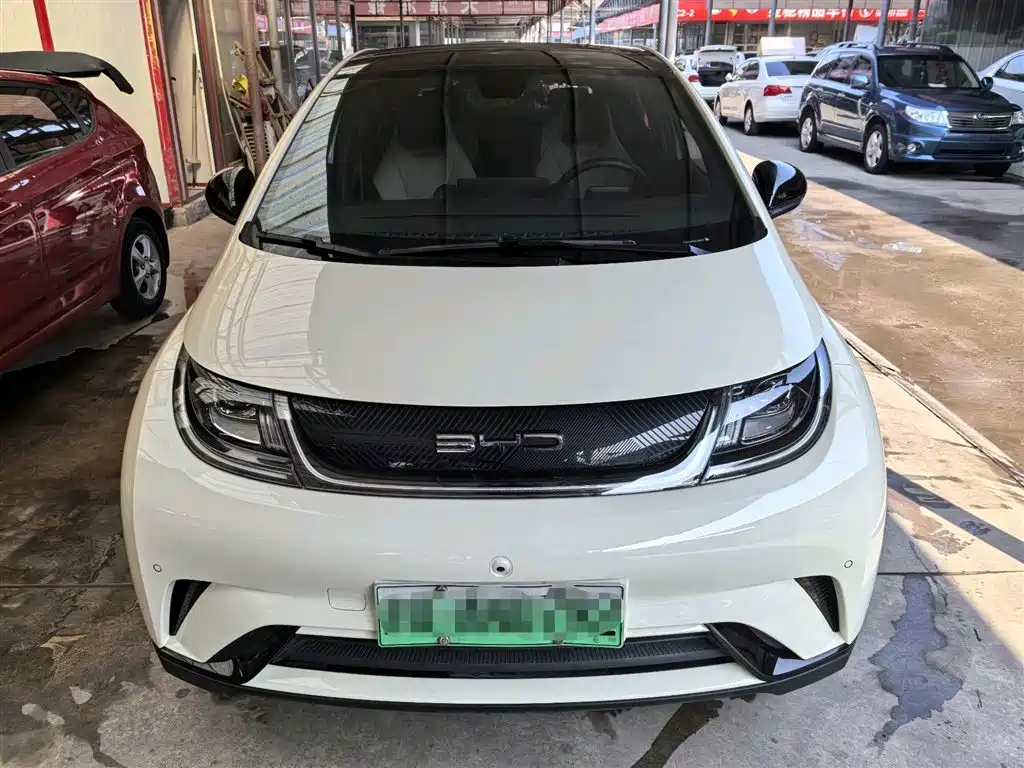BYD DOLPHIN