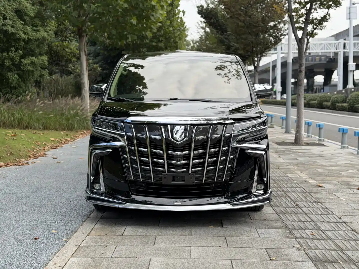Toyota Alphard 2018 3.5L Premium фото 2
