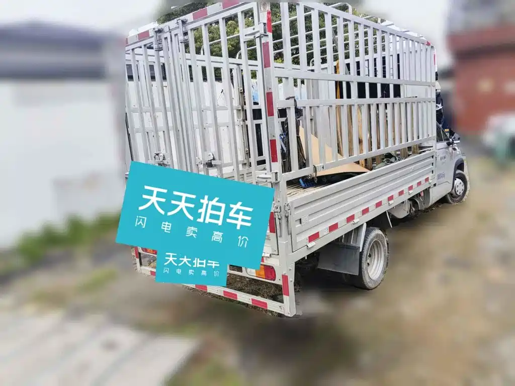 Lingshi Auto Ling Shi Golden Card 2024 2023 Cargo Grid Pioneer Edition