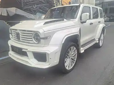 Tank 300
