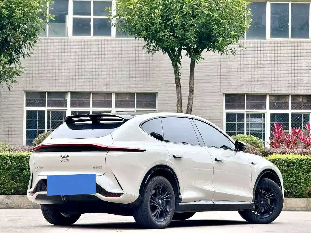 ZHIJI AUTOMOBILE ZHIJI LS7