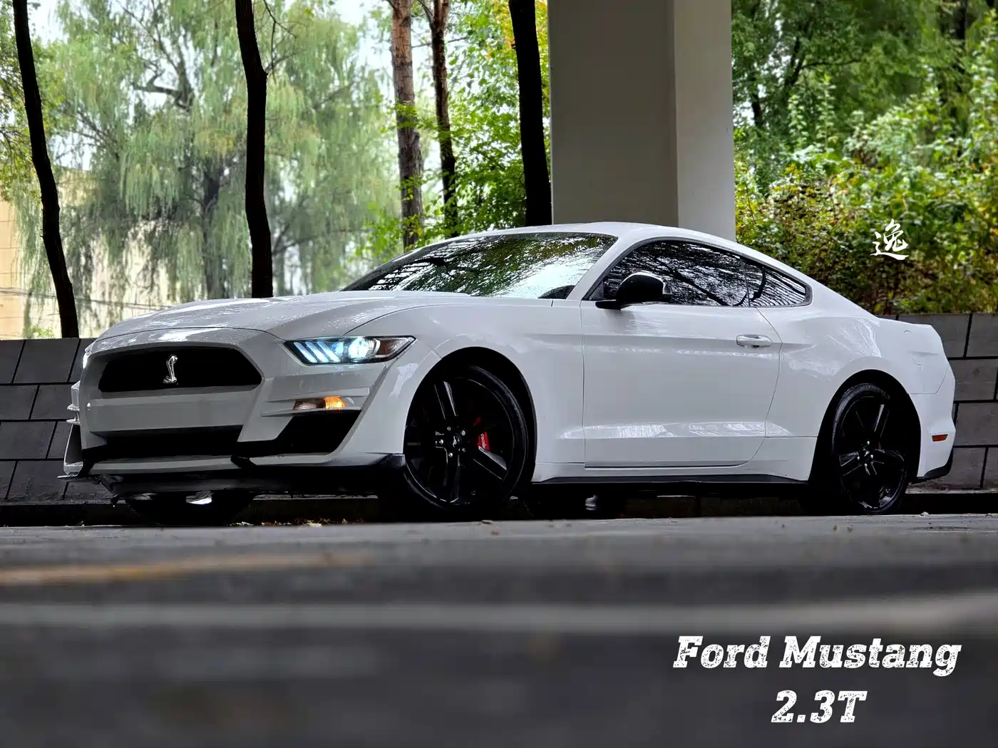 Ford Mustang 2015 — пригон из Китая