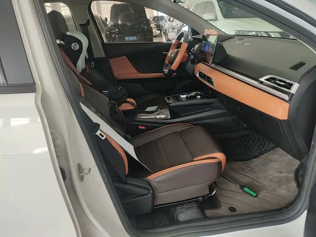 BYD e2 2021 2021 Luxury Edition