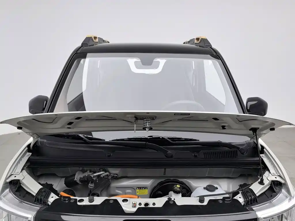 Photo 6 - Wuling Motors Hongguang MINIEV