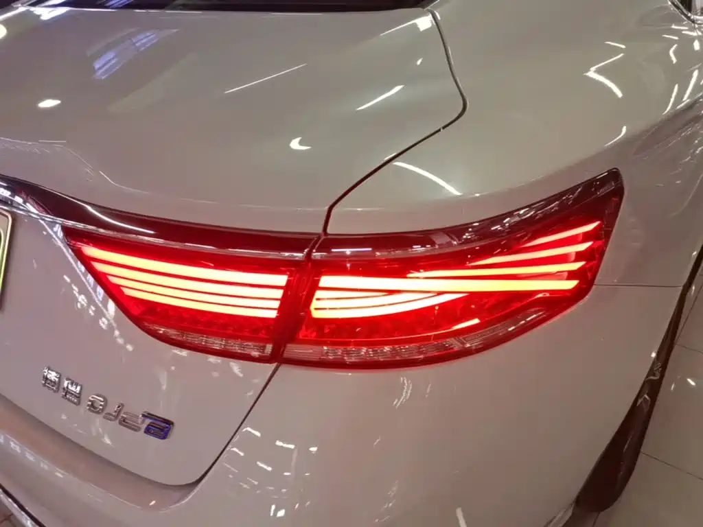 Geely Borui PHEV 2020 2021 1.5T ePro Leading Glory Edition