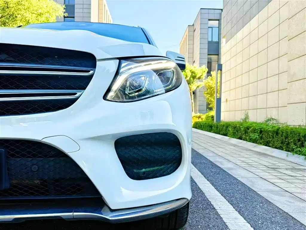 Mercedes-Benz GLE 2016 GLE 320 4MATIC Luxury фото 18