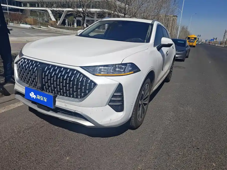 WEI PAI WEI BRAND MOCHA