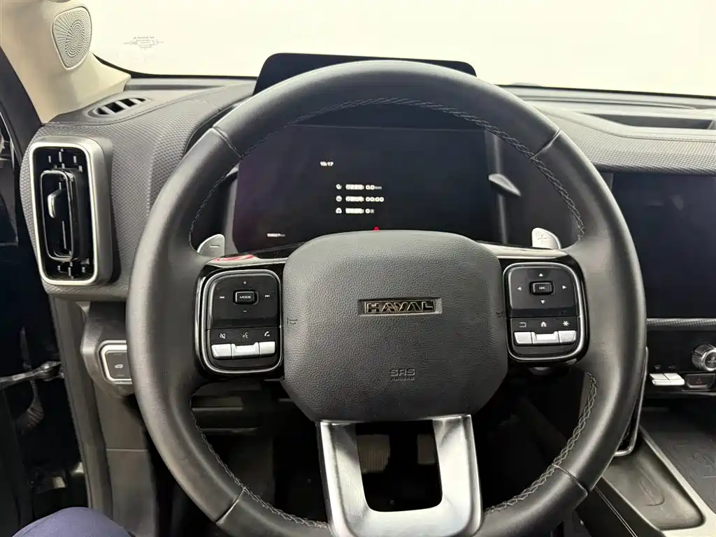 HAVAL BIG DOG
