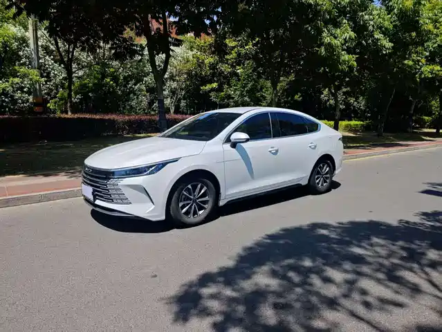 BYD Destroyer 05 2023 Champion Edition DM-i 55KM Luxury
