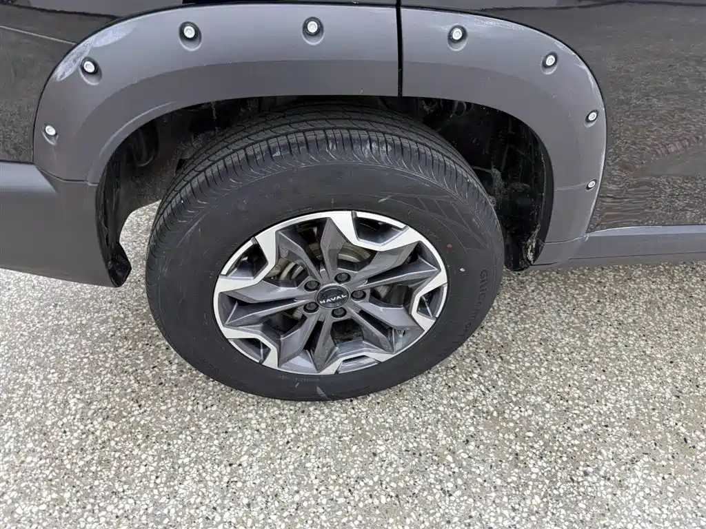 HAVAL BIG DOG