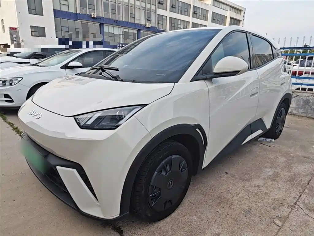 BYD Seagull 2024 Glory Edition 305km Vitality Edition