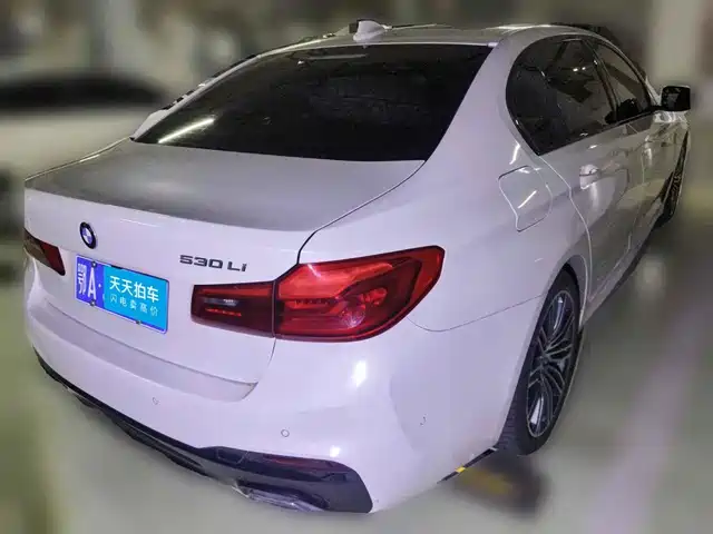 BMW 5 Series 2019 530Li Leading M Sport Package — фото 2