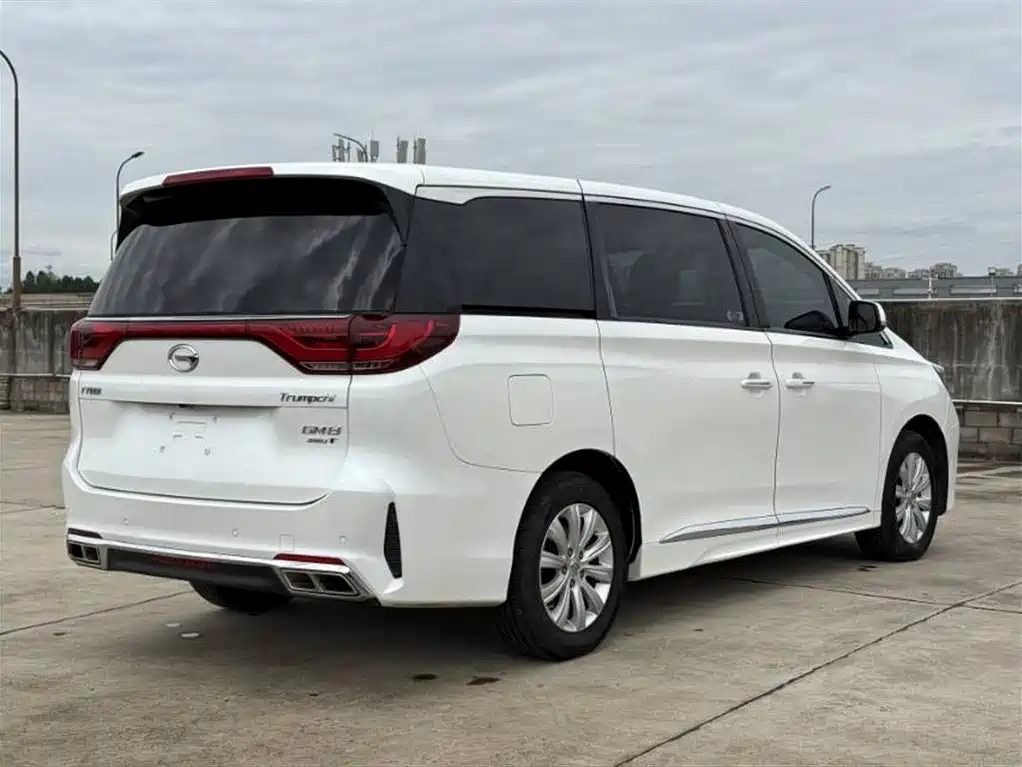 GAC Trumpchi Trumpchi M8 2020 Pilot 390T Premium Edition фото 9